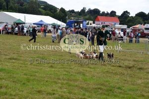 1771330800_1771330800_dunster-country-fair-2016-128