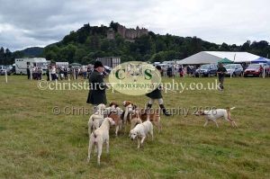 1771330803_1771330803_dunster-country-fair-2016-130