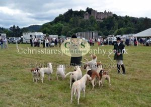 1771330804_1771330804_dunster-country-fair-2016-131