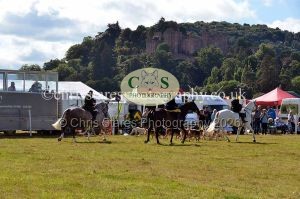 1771330818_1771330818_dunster-country-fair-2016-142