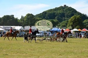 1771330821_1771330821_dunster-country-fair-2016-144