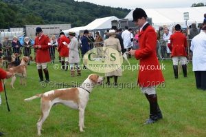 1771330164_1771330164_csc-9131