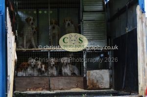 1771330175_1771330175_csc-9151e