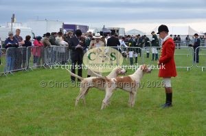 1771330181_1771330181_csc-9168