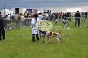 1771330182_1771330182_csc-9170