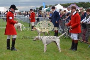 1771330194_1771330194_csc-9197e