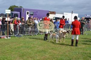 1771330198_1771330198_csc-9204