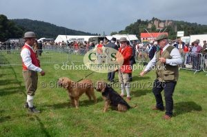 1771330200_1771330200_csc-9207