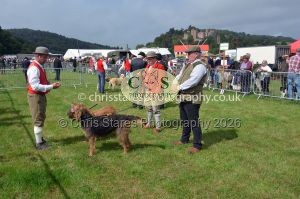 1771330201_1771330201_csc-9209e