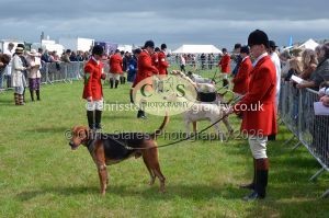 1771330204_1771330204_csc-9217