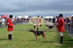 1771330206_1771330206_csc-9219