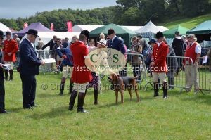 1771330207_1771330207_csc-9221