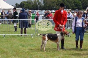 1771330219_1771330219_csc-9246