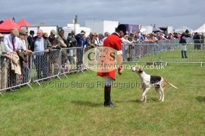 1771330224_1771330224_csc-9256