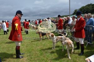 1771330225_1771330225_csc-9260