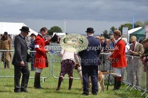 1771330229_1771330229_csc-9273