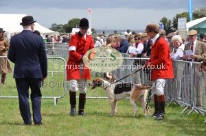 1771330230_1771330230_csc-9274