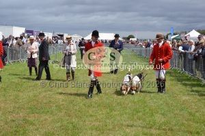 1771330231_1771330231_csc-9276