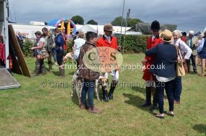 1771330234_1771330234_csc-9281