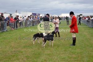 1771330237_1771330237_csc-9287