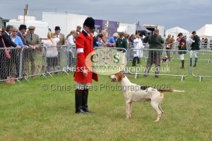 1771330243_1771330243_csc-9293