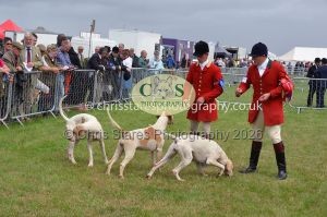 1771330257_1771330257_csc-9314