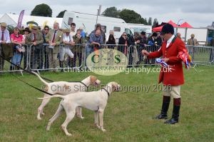 1771330260_1771330260_csc-9316