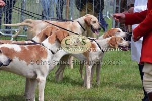 1771330269_1771330269_csc-9344