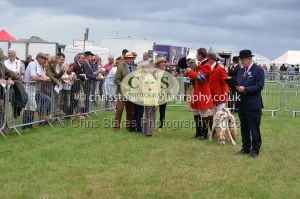 1771330274_1771330274_csc-9351