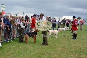 1771330280_1771330280_csc-9364