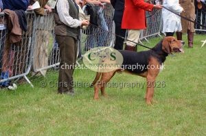 1771330282_1771330282_csc-9367