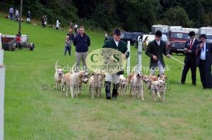 1771330297_1771330297_csc-9413