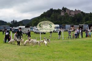 1771330300_1771330300_csc-9418