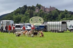 1771330305_1771330305_csc-9426