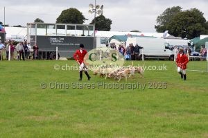 1771330309_1771330309_csc-9435