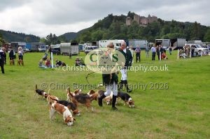 1771330311_1771330311_csc-9438