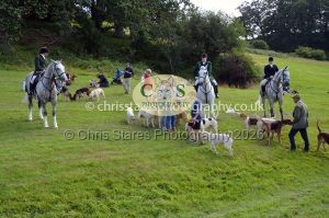 1771330321_1771330321_csc-9453