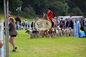 1771330322_1771330322_csc-9457