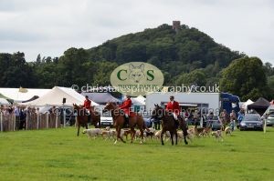 1771330330_1771330330_csc-9468