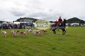 1771330337_1771330337_csc-9477