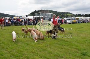 1771330338_1771330338_csc-9480