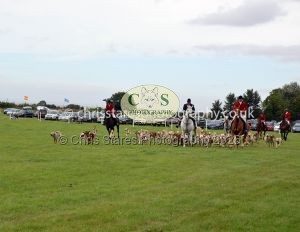 1771330344_1771330344_csc-9488e