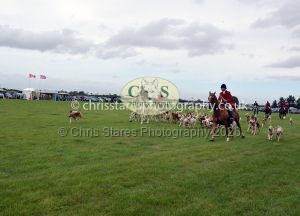 1771330348_1771330348_csc-9490e