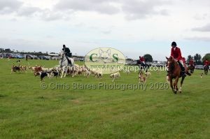 1771330351_1771330351_csc-9498