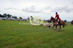 1771330352_1771330352_csc-9501