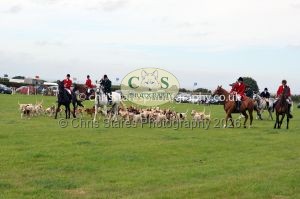 1771330354_1771330354_csc-9504e