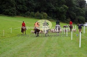 1771330360_1771330360_csc-9511