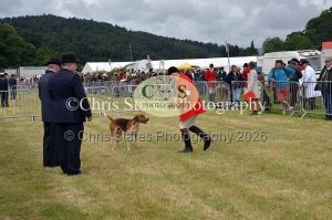 1771329705_1771329705_dunster-country-fair-004