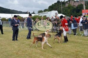 1771329708_1771329708_dunster-country-fair-006