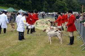 1771329717_1771329717_dunster-country-fair-014